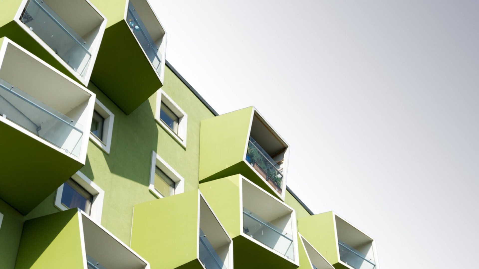 DISENO DISENO